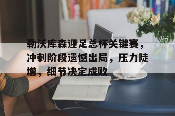爱游戏平台-勒沃库森迎足总杯关键赛，冲刺阶段遗憾出局，压力陡增，细节决定成败的简单介绍